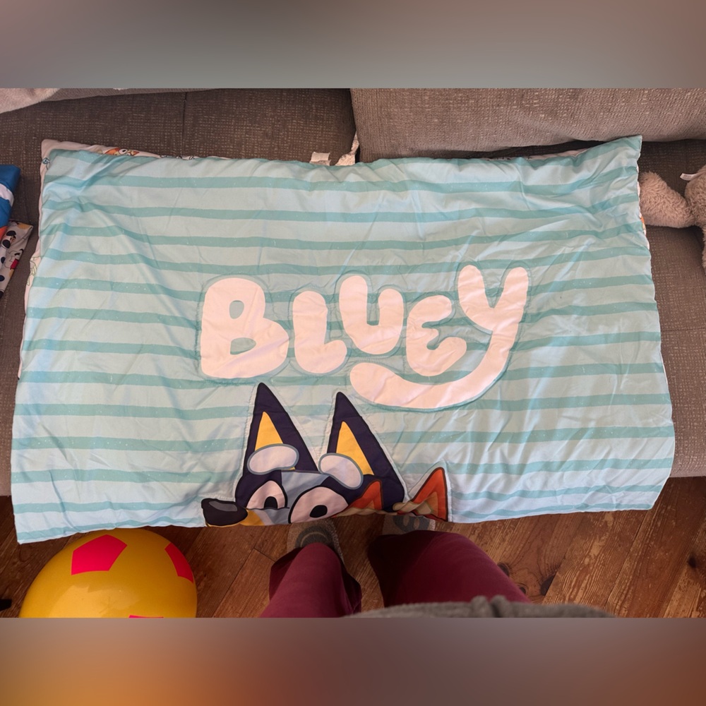 Bluey blankets toddler